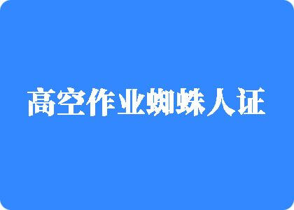 白丝XX入小穴视频高空作业蜘蛛人证